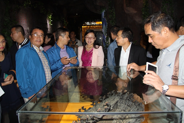 杭州亞運(yùn)會官方靈芝產(chǎn)品供應(yīng)商|杭州亞運(yùn)會官方供應(yīng)商|中國靈芝十大品牌|仙客來靈芝|仙客來靈芝破壁孢子粉|仙客來孢子油|仙客來靈芝飲片|仙客來破壁孢子粉|靈芝孢子油|孢子粉|靈芝破壁孢子粉|靈芝|中華老字號