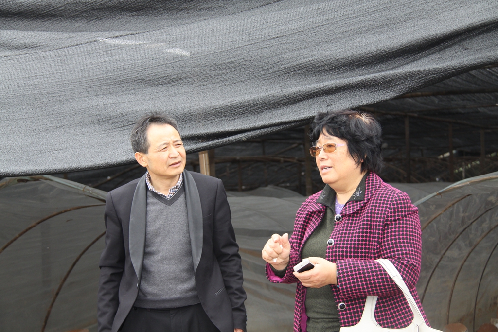 杭州亞運會官方靈芝產(chǎn)品供應(yīng)商|杭州亞運會官方供應(yīng)商|中國靈芝十大品牌|仙客來靈芝|仙客來靈芝破壁孢子粉|仙客來孢子油|仙客來靈芝飲片|仙客來破壁孢子粉|靈芝孢子油|孢子粉|靈芝破壁孢子粉|靈芝|中華老字號