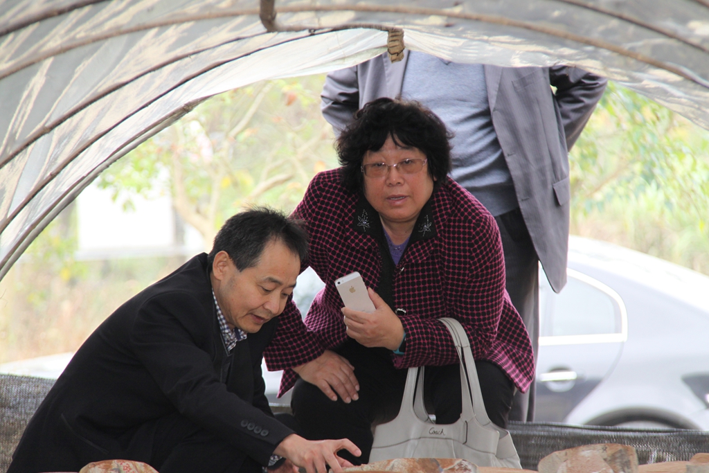 杭州亞運會官方靈芝產(chǎn)品供應(yīng)商|杭州亞運會官方供應(yīng)商|中國靈芝十大品牌|仙客來靈芝|仙客來靈芝破壁孢子粉|仙客來孢子油|仙客來靈芝飲片|仙客來破壁孢子粉|靈芝孢子油|孢子粉|靈芝破壁孢子粉|靈芝|中華老字號 杭州亞運會官方靈芝產(chǎn)品供應(yīng)商|杭州亞運會官方供應(yīng)商|中國靈芝十大品牌|仙客來靈芝|仙客來靈芝破壁孢子粉|仙客來孢子油|仙客來靈芝飲片|仙客來破壁孢子粉|靈芝孢子油|孢子粉|靈芝破壁孢子粉|靈芝|中華老字號