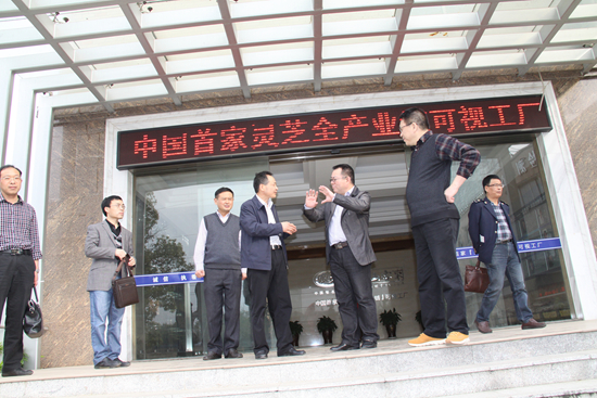 杭州亞運(yùn)會(huì)官方靈芝產(chǎn)品供應(yīng)商|杭州亞運(yùn)會(huì)官方供應(yīng)商|中國(guó)靈芝十大品牌|仙客來(lái)靈芝|仙客來(lái)靈芝破壁孢子粉|仙客來(lái)孢子油|仙客來(lái)靈芝飲片|仙客來(lái)破壁孢子粉|靈芝孢子油|孢子粉|靈芝破壁孢子粉|靈芝|中華老字號(hào) 杭州亞運(yùn)會(huì)官方靈芝產(chǎn)品供應(yīng)商|杭州亞運(yùn)會(huì)官方供應(yīng)商|中國(guó)靈芝十大品牌|仙客來(lái)靈芝|仙客來(lái)靈芝破壁孢子粉|仙客來(lái)孢子油|仙客來(lái)靈芝飲片|仙客來(lái)破壁孢子粉|靈芝孢子油|孢子粉|靈芝破壁孢子粉|靈芝|中華老字號(hào)