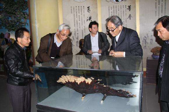 杭州亞運(yùn)會(huì)官方靈芝產(chǎn)品供應(yīng)商|杭州亞運(yùn)會(huì)官方供應(yīng)商|中國(guó)靈芝十大品牌|仙客來(lái)靈芝|仙客來(lái)靈芝破壁孢子粉|仙客來(lái)孢子油|仙客來(lái)靈芝飲片|仙客來(lái)破壁孢子粉|靈芝孢子油|孢子粉|靈芝破壁孢子粉|靈芝|中華老字號(hào)