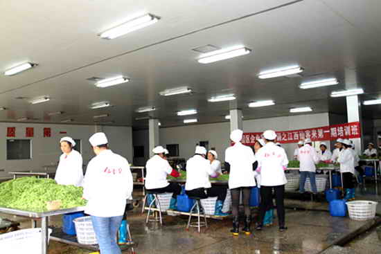 杭州亞運(yùn)會(huì)官方靈芝產(chǎn)品供應(yīng)商|杭州亞運(yùn)會(huì)官方供應(yīng)商|中國靈芝十大品牌|仙客來靈芝|仙客來靈芝破壁孢子粉|仙客來孢子油|仙客來靈芝飲片|仙客來破壁孢子粉|靈芝孢子油|孢子粉|靈芝破壁孢子粉|靈芝|中華老字號