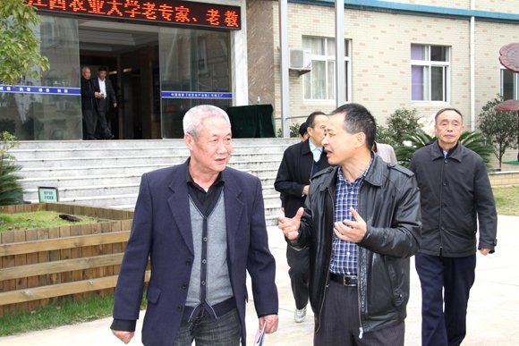 杭州亞運(yùn)會官方靈芝產(chǎn)品供應(yīng)商|杭州亞運(yùn)會官方供應(yīng)商|中國靈芝十大品牌|仙客來靈芝|仙客來靈芝破壁孢子粉|仙客來孢子油|仙客來靈芝飲片|仙客來破壁孢子粉|靈芝孢子油|孢子粉|靈芝破壁孢子粉|靈芝|中華老字號