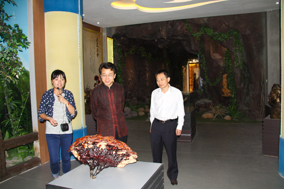 杭州亞運會官方靈芝產(chǎn)品供應商|杭州亞運會官方供應商|中國靈芝十大品牌|仙客來靈芝|仙客來靈芝破壁孢子粉|仙客來孢子油|仙客來靈芝飲片|仙客來破壁孢子粉|靈芝孢子油|孢子粉|靈芝破壁孢子粉|靈芝|中華老字號 杭州亞運會官方靈芝產(chǎn)品供應商|杭州亞運會官方供應商|中國靈芝十大品牌|仙客來靈芝|仙客來靈芝破壁孢子粉|仙客來孢子油|仙客來靈芝飲片|仙客來破壁孢子粉|靈芝孢子油|孢子粉|靈芝破壁孢子粉|靈芝|中華老字號