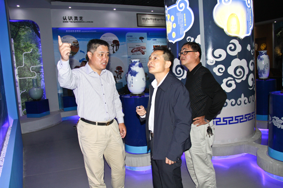 杭州亞運會官方靈芝產(chǎn)品供應(yīng)商|杭州亞運會官方供應(yīng)商|中國靈芝十大品牌|仙客來靈芝|仙客來靈芝破壁孢子粉|仙客來孢子油|仙客來靈芝飲片|仙客來破壁孢子粉|靈芝孢子油|孢子粉|靈芝破壁孢子粉|靈芝|中華老字號 杭州亞運會官方靈芝產(chǎn)品供應(yīng)商|杭州亞運會官方供應(yīng)商|中國靈芝十大品牌|仙客來靈芝|仙客來靈芝破壁孢子粉|仙客來孢子油|仙客來靈芝飲片|仙客來破壁孢子粉|靈芝孢子油|孢子粉|靈芝破壁孢子粉|靈芝|中華老字號