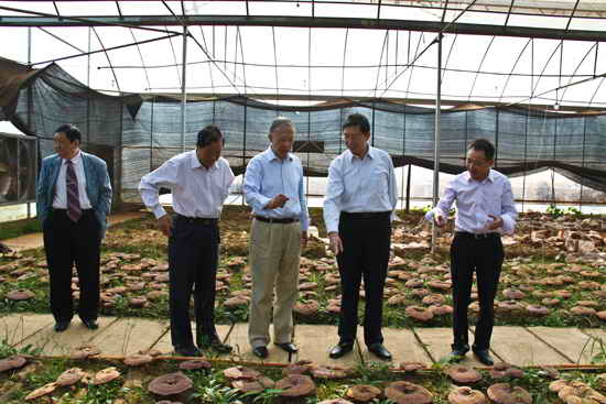 杭州亞運(yùn)會(huì)官方靈芝產(chǎn)品供應(yīng)商|杭州亞運(yùn)會(huì)官方供應(yīng)商|中國(guó)靈芝十大品牌|仙客來(lái)靈芝|仙客來(lái)靈芝破壁孢子粉|仙客來(lái)孢子油|仙客來(lái)靈芝飲片|仙客來(lái)破壁孢子粉|靈芝孢子油|孢子粉|靈芝破壁孢子粉|靈芝|中華老字號(hào) 杭州亞運(yùn)會(huì)官方靈芝產(chǎn)品供應(yīng)商|杭州亞運(yùn)會(huì)官方供應(yīng)商|中國(guó)靈芝十大品牌|仙客來(lái)靈芝|仙客來(lái)靈芝破壁孢子粉|仙客來(lái)孢子油|仙客來(lái)靈芝飲片|仙客來(lái)破壁孢子粉|靈芝孢子油|孢子粉|靈芝破壁孢子粉|靈芝|中華老字號(hào)