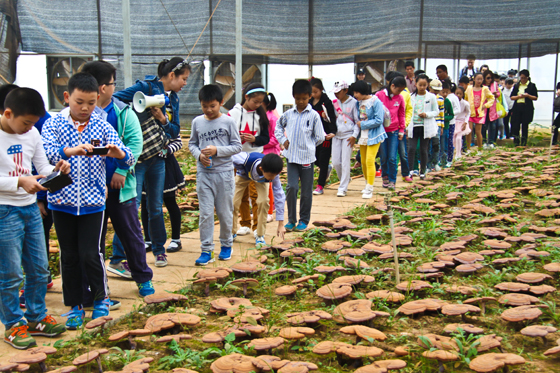 杭州亞運(yùn)會(huì)官方靈芝產(chǎn)品供應(yīng)商|杭州亞運(yùn)會(huì)官方供應(yīng)商|中國靈芝十大品牌|仙客來靈芝|仙客來靈芝破壁孢子粉|仙客來孢子油|仙客來靈芝飲片|仙客來破壁孢子粉|靈芝孢子油|孢子粉|靈芝破壁孢子粉|靈芝|中華老字號(hào) 杭州亞運(yùn)會(huì)官方靈芝產(chǎn)品供應(yīng)商|杭州亞運(yùn)會(huì)官方供應(yīng)商|中國靈芝十大品牌|仙客來靈芝|仙客來靈芝破壁孢子粉|仙客來孢子油|仙客來靈芝飲片|仙客來破壁孢子粉|靈芝孢子油|孢子粉|靈芝破壁孢子粉|靈芝|中華老字號(hào)