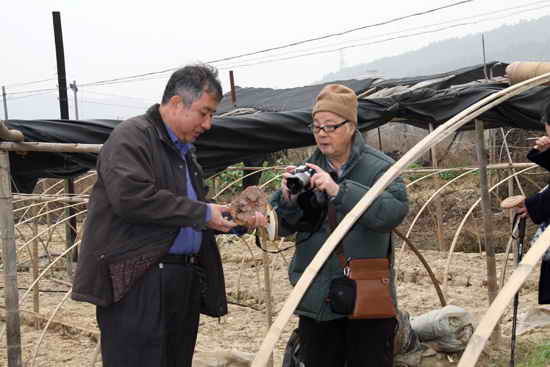 杭州亞運(yùn)會(huì)官方靈芝產(chǎn)品供應(yīng)商|杭州亞運(yùn)會(huì)官方供應(yīng)商|中國靈芝十大品牌|仙客來靈芝|仙客來靈芝破壁孢子粉|仙客來孢子油|仙客來靈芝飲片|仙客來破壁孢子粉|靈芝孢子油|孢子粉|靈芝破壁孢子粉|靈芝|中華老字號(hào)