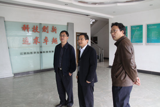 杭州亞運會官方靈芝產(chǎn)品供應(yīng)商|杭州亞運會官方供應(yīng)商|中國靈芝十大品牌|仙客來靈芝|仙客來靈芝破壁孢子粉|仙客來孢子油|仙客來靈芝飲片|仙客來破壁孢子粉|靈芝孢子油|孢子粉|靈芝破壁孢子粉|靈芝|中華老字號 杭州亞運會官方靈芝產(chǎn)品供應(yīng)商|杭州亞運會官方供應(yīng)商|中國靈芝十大品牌|仙客來靈芝|仙客來靈芝破壁孢子粉|仙客來孢子油|仙客來靈芝飲片|仙客來破壁孢子粉|靈芝孢子油|孢子粉|靈芝破壁孢子粉|靈芝|中華老字號