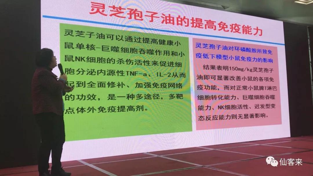 杭州亞運會官方靈芝產(chǎn)品供應商|杭州亞運會官方供應商|中國靈芝十大品牌|仙客來靈芝|仙客來靈芝破壁孢子粉|仙客來孢子油|仙客來靈芝飲片|仙客來破壁孢子粉|靈芝孢子油|孢子粉|靈芝破壁孢子粉|靈芝|中華老字號