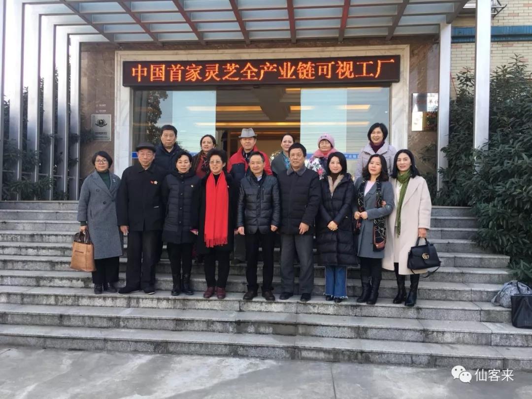 中國靈芝十大品牌|仙客來靈芝|仙客來靈芝破壁孢子粉|仙客來孢子油|仙客來靈芝飲片|仙客來破壁孢子粉|仙客來靈芝中藥飲片|馳名商標(biāo)|www.card931.cn|