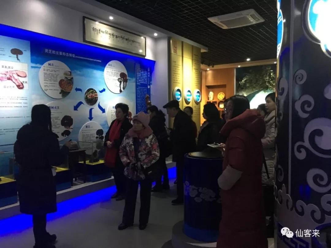 中國靈芝十大品牌|仙客來靈芝|仙客來靈芝破壁孢子粉|仙客來孢子油|仙客來靈芝飲片|仙客來破壁孢子粉|仙客來靈芝中藥飲片|馳名商標(biāo)|www.card931.cn|