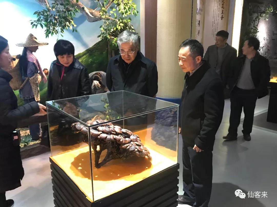 中國(guó)靈芝十大品牌|仙客來(lái)靈芝|仙客來(lái)靈芝破壁孢子粉|仙客來(lái)孢子油|仙客來(lái)靈芝飲片|仙客來(lái)破壁孢子粉|仙客來(lái)靈芝中藥飲片|馳名商標(biāo)|www.card931.cn|