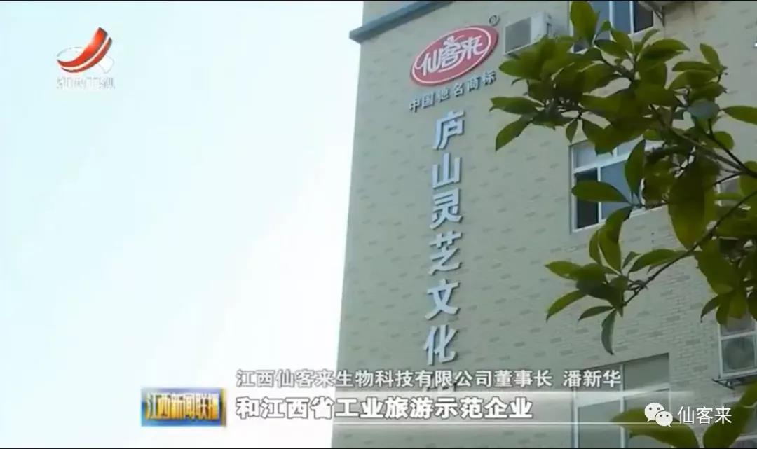 中國(guó)靈芝十大品牌|仙客來(lái)靈芝|仙客來(lái)靈芝破壁孢子粉|仙客來(lái)孢子油|仙客來(lái)靈芝飲片|仙客來(lái)破壁孢子粉|仙客來(lái)靈芝中藥飲片|馳名商標(biāo)|www.card931.cn| 中國(guó)靈芝十大品牌|仙客來(lái)靈芝|仙客來(lái)靈芝破壁孢子粉|仙客來(lái)孢子油|仙客來(lái)靈芝飲片|仙客來(lái)破壁孢子粉|仙客來(lái)靈芝中藥飲片|馳名商標(biāo)|www.card931.cn|