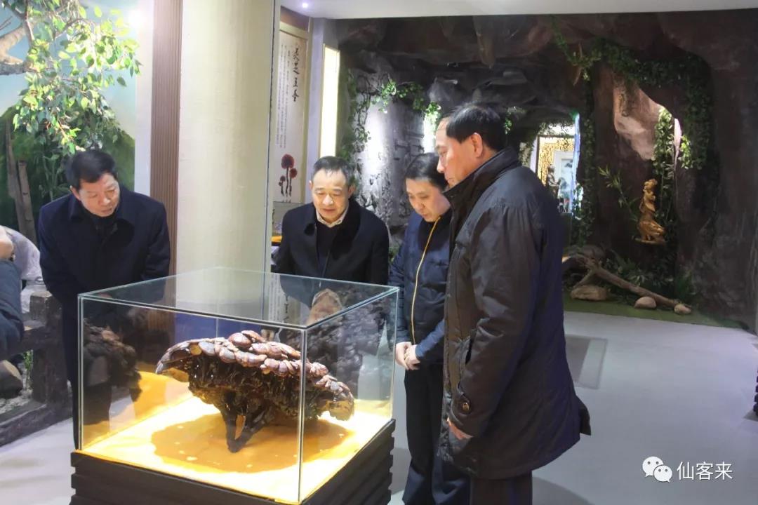 中國靈芝十大品牌|仙客來靈芝|仙客來靈芝破壁孢子粉|仙客來孢子油|仙客來靈芝飲片|仙客來破壁孢子粉|仙客來靈芝中藥飲片|馳名商標(biāo)|www.card931.cn|