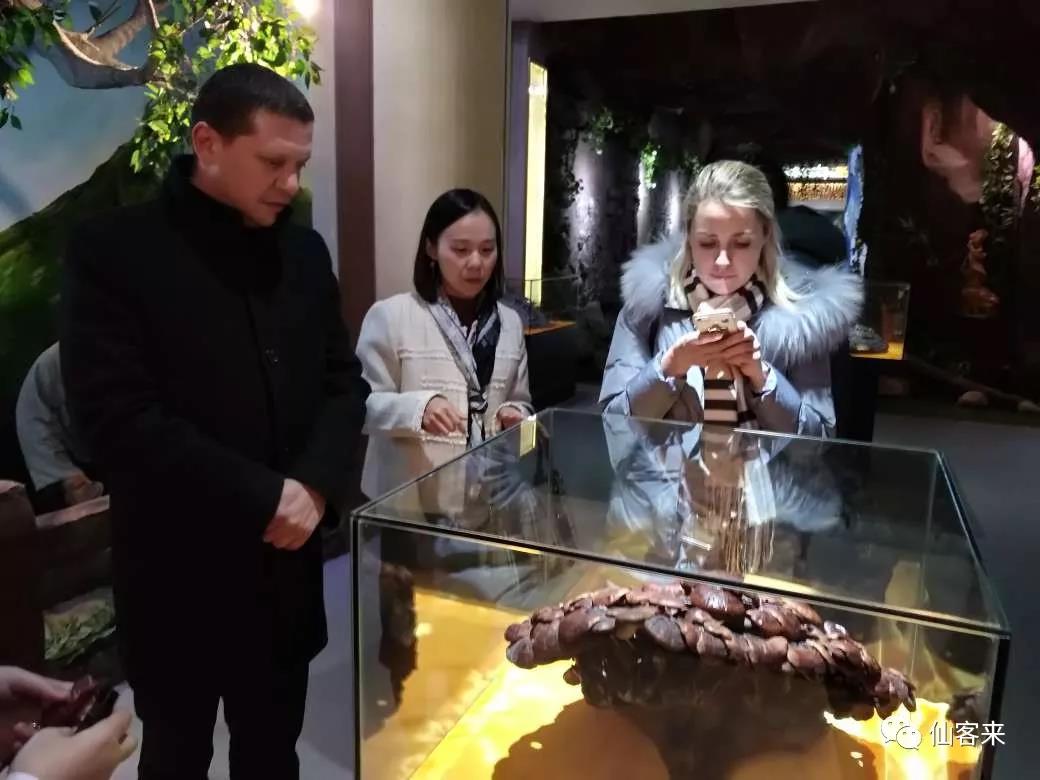 中國(guó)靈芝十大品牌|仙客來(lái)靈芝|仙客來(lái)靈芝破壁孢子粉|仙客來(lái)孢子油|仙客來(lái)靈芝飲片|仙客來(lái)破壁孢子粉|仙客來(lái)靈芝中藥飲片|馳名商標(biāo)|www.card931.cn|