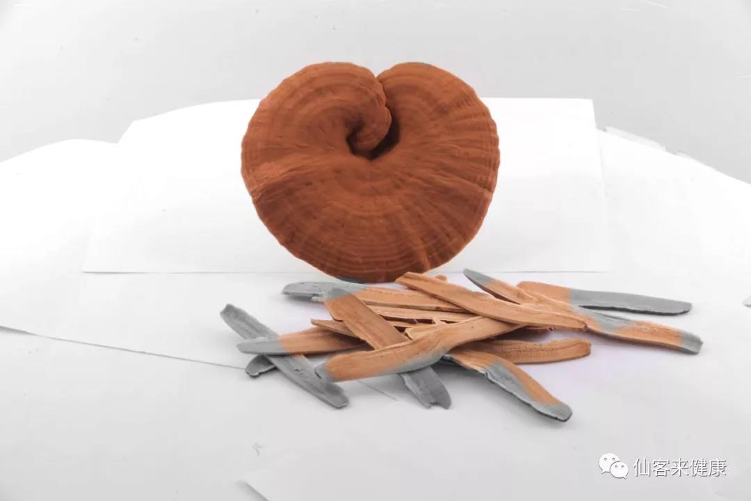 中國靈芝十大品牌|仙客來靈芝|仙客來靈芝破壁孢子粉|仙客來孢子油|仙客來靈芝飲片|仙客來破壁孢子粉|仙客來靈芝中藥飲片|馳名商標(biāo)|www.card931.cn|