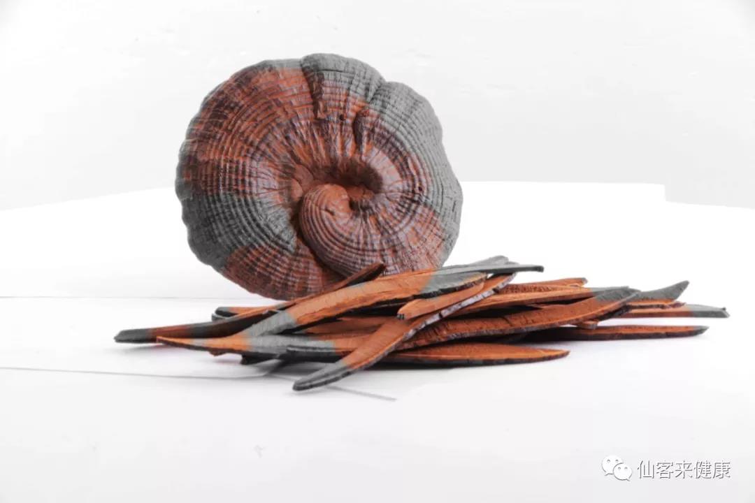 中國靈芝十大品牌|仙客來靈芝|仙客來靈芝破壁孢子粉|仙客來孢子油|仙客來靈芝飲片|仙客來破壁孢子粉|仙客來靈芝中藥飲片|馳名商標(biāo)|www.card931.cn|