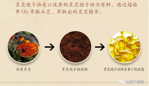 中國靈芝十大品牌|仙客來靈芝|仙客來靈芝破壁孢子粉|仙客來孢子油|仙客來靈芝飲片|仙客來破壁孢子粉|仙客來靈芝中藥飲片|馳名商標|www.card931.cn|