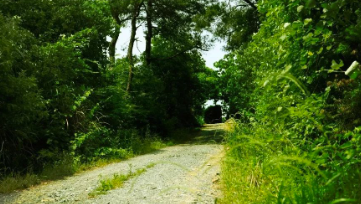 中國靈芝十大品牌|仙客來靈芝|仙客來靈芝破壁孢子粉|仙客來孢子油|仙客來靈芝飲片|仙客來破壁孢子粉|仙客來靈芝中藥飲片|馳名商標|www.card931.cn| 中國靈芝十大品牌|仙客來靈芝|仙客來靈芝破壁孢子粉|仙客來孢子油|仙客來靈芝飲片|仙客來破壁孢子粉|仙客來靈芝中藥飲片|馳名商標|www.card931.cn|