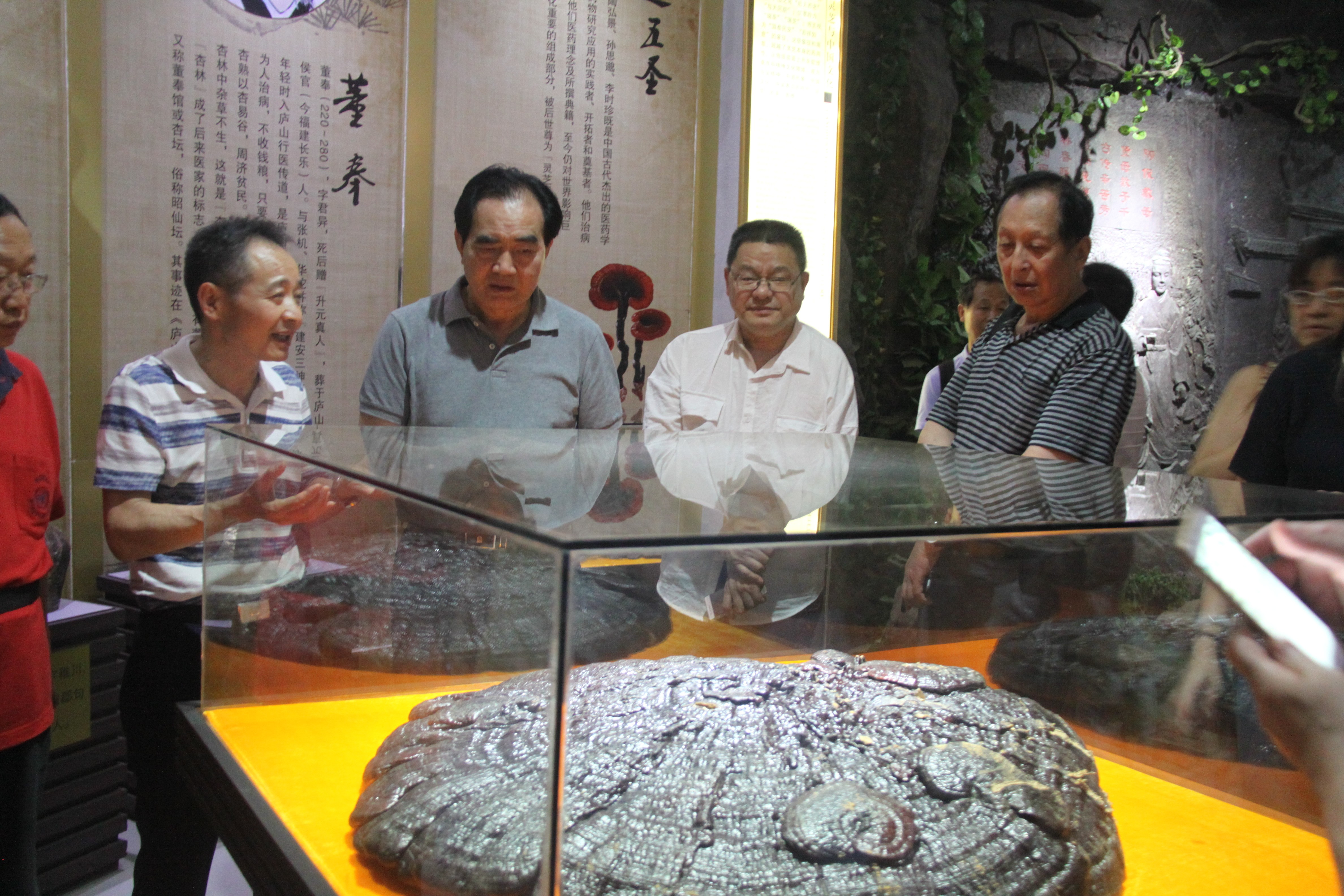 中國(guó)靈芝十大品牌|仙客來(lái)靈芝|仙客來(lái)靈芝破壁孢子粉|仙客來(lái)孢子油|仙客來(lái)靈芝飲片|仙客來(lái)破壁孢子粉|仙客來(lái)靈芝中藥飲片|馳名商標(biāo)|www.card931.cn|