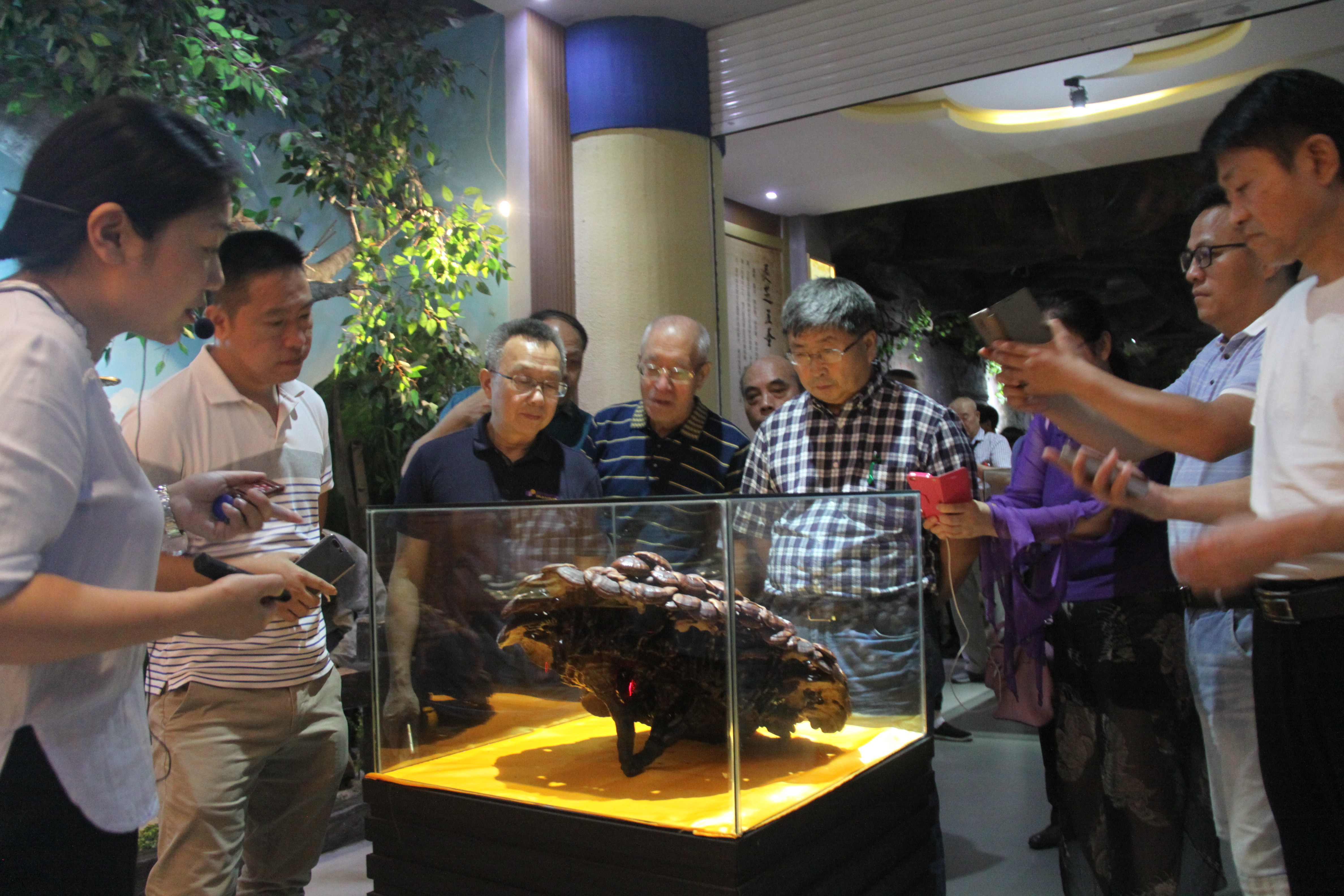 中國(guó)靈芝十大品牌|仙客來(lái)靈芝|仙客來(lái)靈芝破壁孢子粉|仙客來(lái)孢子油|仙客來(lái)靈芝飲片|仙客來(lái)破壁孢子粉|仙客來(lái)靈芝中藥飲片|馳名商標(biāo)|www.card931.cn|