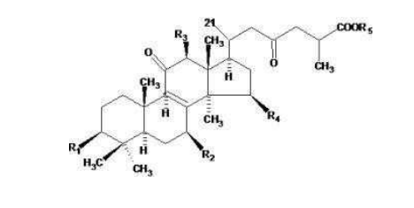 中國(guó)靈芝十大品牌|仙客來(lái)靈芝|仙客來(lái)靈芝破壁孢子粉|仙客來(lái)孢子油|仙客來(lái)靈芝飲片|仙客來(lái)破壁孢子粉|仙客來(lái)靈芝中藥飲片|馳名商標(biāo)|www.card931.cn|