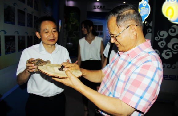 中國靈芝十大品牌|仙客來靈芝|仙客來靈芝破壁孢子粉|仙客來孢子油|仙客來靈芝飲片|仙客來破壁孢子粉|仙客來靈芝中藥飲片|馳名商標|www.card931.cn| 中國靈芝十大品牌|仙客來靈芝|仙客來靈芝破壁孢子粉|仙客來孢子油|仙客來靈芝飲片|仙客來破壁孢子粉|仙客來靈芝中藥飲片|馳名商標|www.card931.cn|