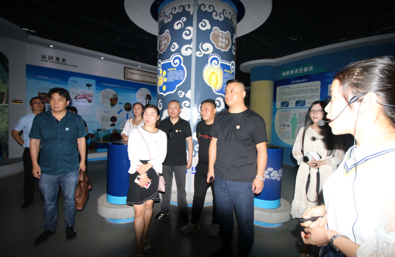 中國靈芝十大品牌|仙客來靈芝|仙客來靈芝破壁孢子粉|仙客來孢子油|仙客來靈芝飲片|仙客來破壁孢子粉|仙客來靈芝中藥飲片|馳名商標|www.card931.cn|