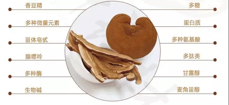 中國靈芝十大品牌|仙客來靈芝|仙客來靈芝破壁孢子粉|仙客來孢子油|仙客來靈芝飲片|仙客來破壁孢子粉|仙客來靈芝中藥飲片|馳名商標|www.card931.cn|