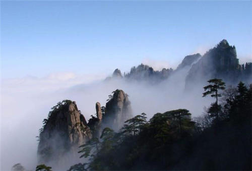 中國靈芝十大品牌|仙客來靈芝|仙客來靈芝破壁孢子粉|仙客來孢子油|仙客來靈芝飲片|仙客來破壁孢子粉|仙客來靈芝中藥飲片|馳名商標|www.card931.cn|