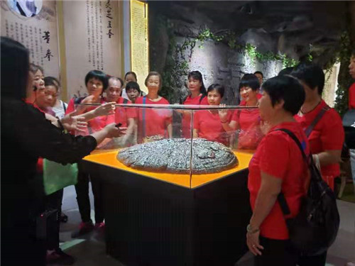 中國靈芝十大品牌|仙客來靈芝|仙客來靈芝破壁孢子粉|仙客來孢子油|仙客來靈芝飲片|仙客來破壁孢子粉|仙客來靈芝中藥飲片|馳名商標|www.card931.cn|