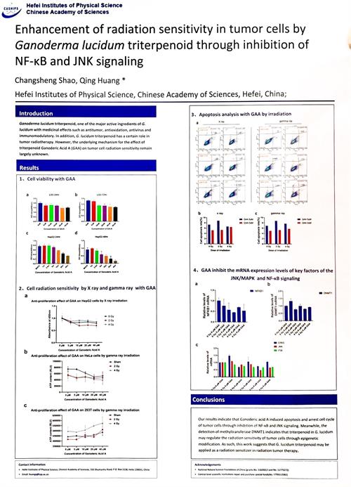 中國(guó)靈芝十大品牌|仙客來(lái)靈芝|仙客來(lái)靈芝破壁孢子粉|仙客來(lái)孢子油|仙客來(lái)靈芝飲片|仙客來(lái)破壁孢子粉|仙客來(lái)靈芝中藥飲片|馳名商標(biāo)|www.card931.cn|
