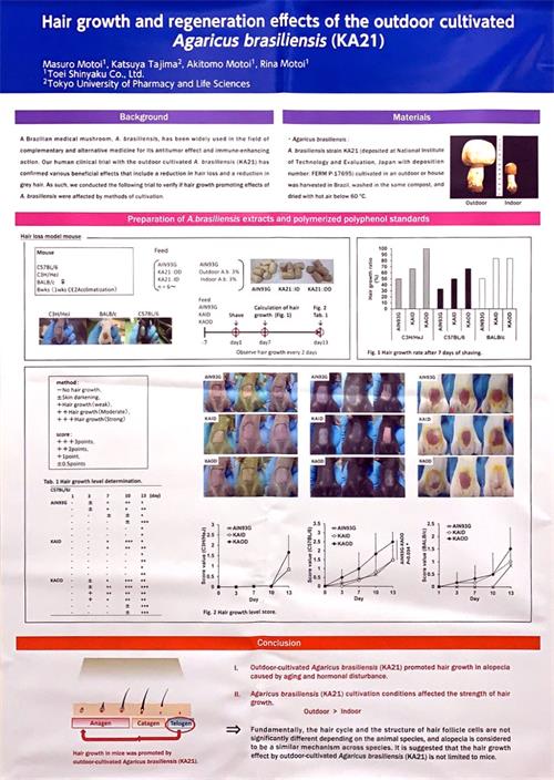 中國(guó)靈芝十大品牌|仙客來(lái)靈芝|仙客來(lái)靈芝破壁孢子粉|仙客來(lái)孢子油|仙客來(lái)靈芝飲片|仙客來(lái)破壁孢子粉|仙客來(lái)靈芝中藥飲片|馳名商標(biāo)|www.card931.cn|