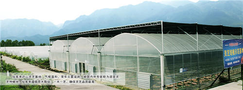 中國靈芝十大品牌|仙客來靈芝|仙客來靈芝破壁孢子粉|仙客來孢子油|仙客來靈芝飲片|仙客來破壁孢子粉|仙客來靈芝中藥飲片|馳名商標(biāo)|www.card931.cn|