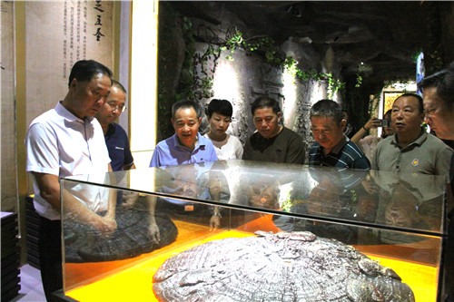 中國(guó)靈芝十大品牌|仙客來(lái)靈芝|仙客來(lái)靈芝破壁孢子粉|仙客來(lái)孢子油|仙客來(lái)靈芝飲片|仙客來(lái)破壁孢子粉|仙客來(lái)靈芝中藥飲片|馳名商標(biāo)|www.card931.cn| 中國(guó)靈芝十大品牌|仙客來(lái)靈芝|仙客來(lái)靈芝破壁孢子粉|仙客來(lái)孢子油|仙客來(lái)靈芝飲片|仙客來(lái)破壁孢子粉|仙客來(lái)靈芝中藥飲片|馳名商標(biāo)|www.card931.cn|