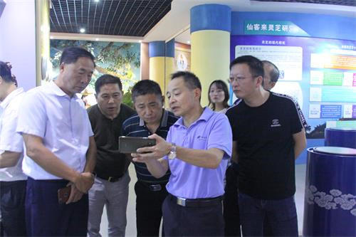 中國(guó)靈芝十大品牌|仙客來(lái)靈芝|仙客來(lái)靈芝破壁孢子粉|仙客來(lái)孢子油|仙客來(lái)靈芝飲片|仙客來(lái)破壁孢子粉|仙客來(lái)靈芝中藥飲片|馳名商標(biāo)|www.card931.cn| 中國(guó)靈芝十大品牌|仙客來(lái)靈芝|仙客來(lái)靈芝破壁孢子粉|仙客來(lái)孢子油|仙客來(lái)靈芝飲片|仙客來(lái)破壁孢子粉|仙客來(lái)靈芝中藥飲片|馳名商標(biāo)|www.card931.cn|