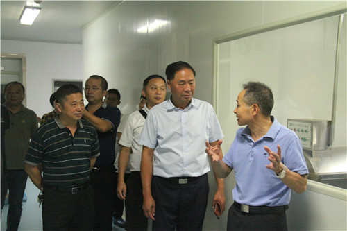 中國(guó)靈芝十大品牌|仙客來(lái)靈芝|仙客來(lái)靈芝破壁孢子粉|仙客來(lái)孢子油|仙客來(lái)靈芝飲片|仙客來(lái)破壁孢子粉|仙客來(lái)靈芝中藥飲片|馳名商標(biāo)|www.card931.cn| 中國(guó)靈芝十大品牌|仙客來(lái)靈芝|仙客來(lái)靈芝破壁孢子粉|仙客來(lái)孢子油|仙客來(lái)靈芝飲片|仙客來(lái)破壁孢子粉|仙客來(lái)靈芝中藥飲片|馳名商標(biāo)|www.card931.cn|