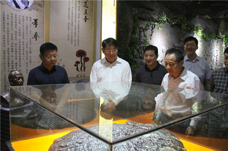 中國靈芝十大品牌|仙客來靈芝|仙客來靈芝破壁孢子粉|仙客來孢子油|仙客來靈芝飲片|仙客來破壁孢子粉|仙客來靈芝中藥飲片|馳名商標|www.card931.cn|