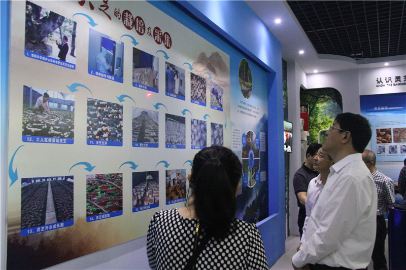 中國靈芝十大品牌|仙客來靈芝|仙客來靈芝破壁孢子粉|仙客來孢子油|仙客來靈芝飲片|仙客來破壁孢子粉|仙客來靈芝中藥飲片|馳名商標|www.card931.cn|