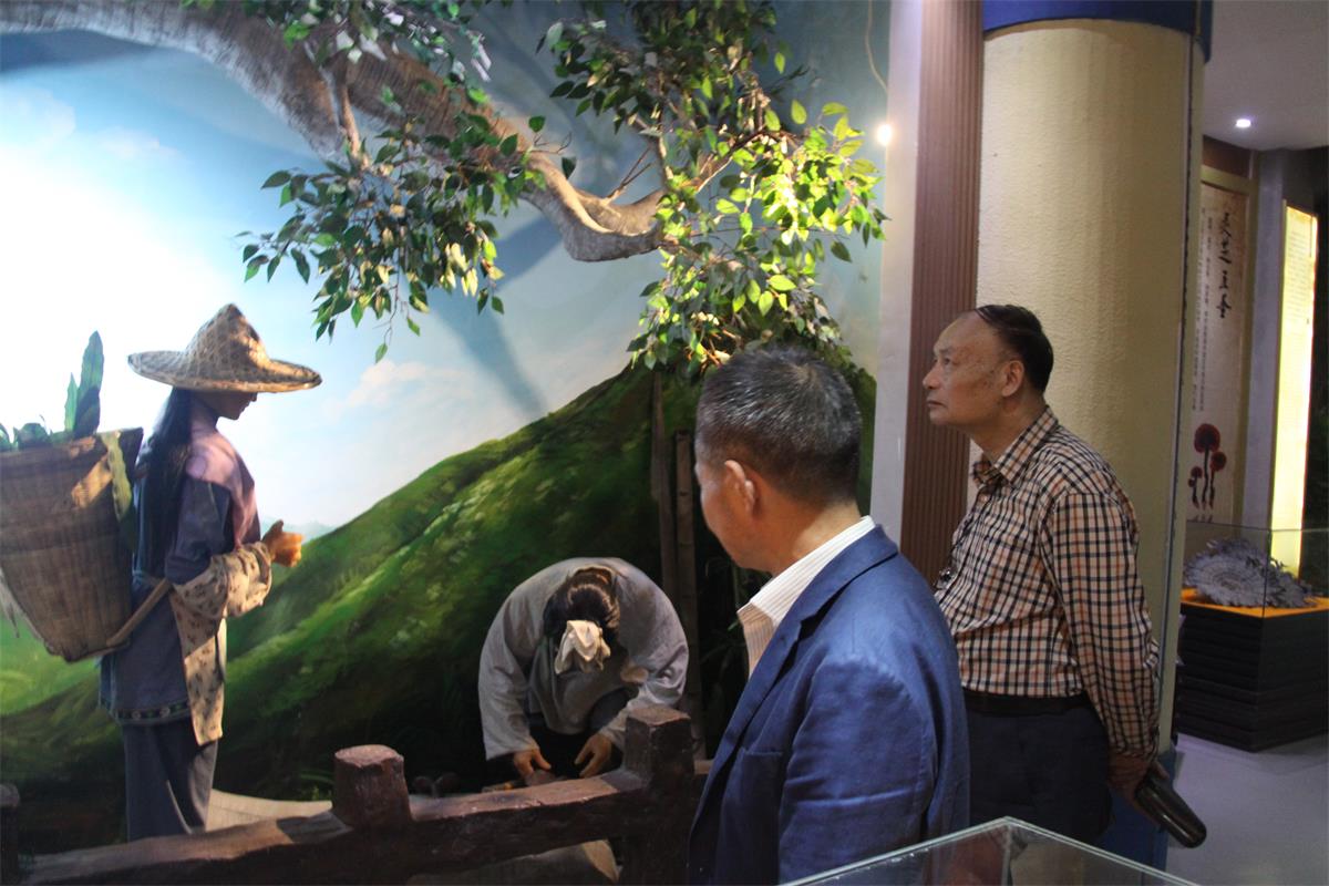 中國靈芝十大品牌|仙客來靈芝|仙客來靈芝破壁孢子粉|仙客來孢子油|仙客來靈芝飲片|仙客來破壁孢子粉|仙客來靈芝中藥飲片|馳名商標(biāo)|www.card931.cn|