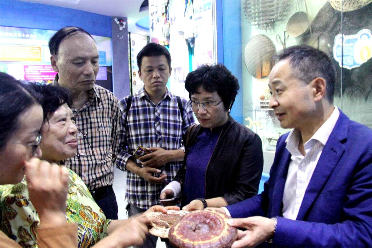 中國靈芝十大品牌|仙客來靈芝|仙客來靈芝破壁孢子粉|仙客來孢子油|仙客來靈芝飲片|仙客來破壁孢子粉|仙客來靈芝中藥飲片|馳名商標(biāo)|www.card931.cn|