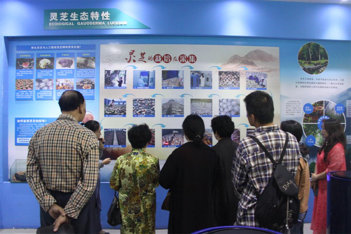 中國靈芝十大品牌|仙客來靈芝|仙客來靈芝破壁孢子粉|仙客來孢子油|仙客來靈芝飲片|仙客來破壁孢子粉|仙客來靈芝中藥飲片|馳名商標(biāo)|www.card931.cn|