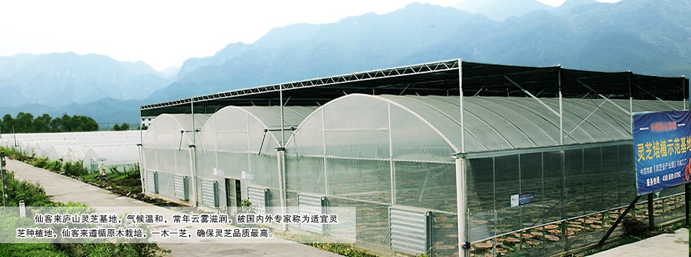 中國靈芝十大品牌|仙客來靈芝|仙客來靈芝破壁孢子粉|仙客來孢子油|仙客來靈芝飲片|仙客來破壁孢子粉|仙客來靈芝中藥飲片|馳名商標(biāo)|www.card931.cn|