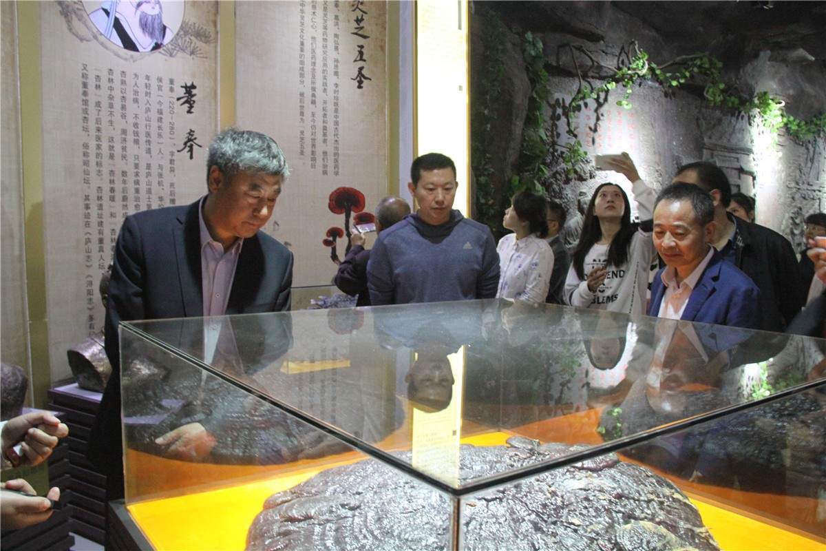 中國(guó)靈芝十大品牌|仙客來(lái)靈芝|仙客來(lái)靈芝破壁孢子粉|仙客來(lái)孢子油|仙客來(lái)靈芝飲片|仙客來(lái)破壁孢子粉|仙客來(lái)靈芝中藥飲片|馳名商標(biāo)|www.card931.cn|