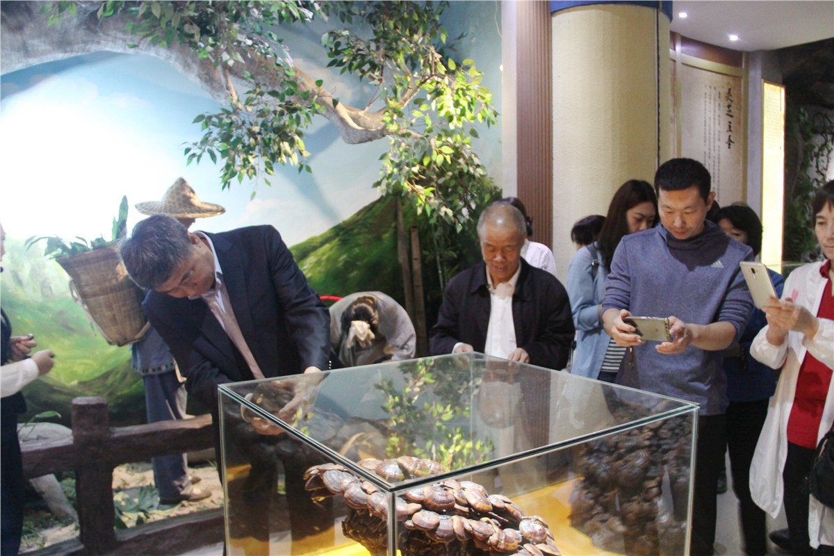 中國(guó)靈芝十大品牌|仙客來(lái)靈芝|仙客來(lái)靈芝破壁孢子粉|仙客來(lái)孢子油|仙客來(lái)靈芝飲片|仙客來(lái)破壁孢子粉|仙客來(lái)靈芝中藥飲片|馳名商標(biāo)|www.card931.cn|