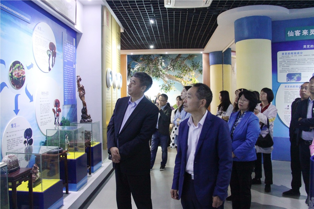 中國(guó)靈芝十大品牌|仙客來(lái)靈芝|仙客來(lái)靈芝破壁孢子粉|仙客來(lái)孢子油|仙客來(lái)靈芝飲片|仙客來(lái)破壁孢子粉|仙客來(lái)靈芝中藥飲片|馳名商標(biāo)|www.card931.cn|