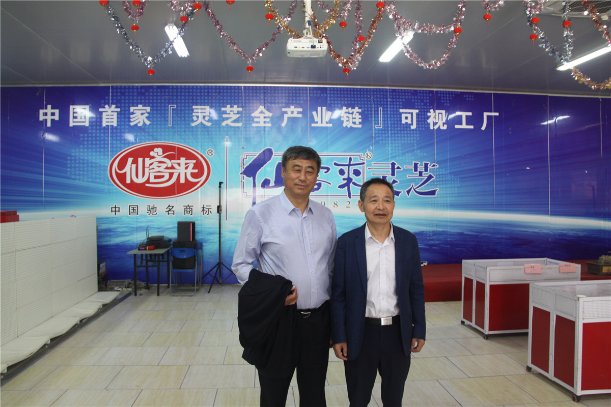 中國(guó)靈芝十大品牌|仙客來(lái)靈芝|仙客來(lái)靈芝破壁孢子粉|仙客來(lái)孢子油|仙客來(lái)靈芝飲片|仙客來(lái)破壁孢子粉|仙客來(lái)靈芝中藥飲片|馳名商標(biāo)|www.card931.cn|