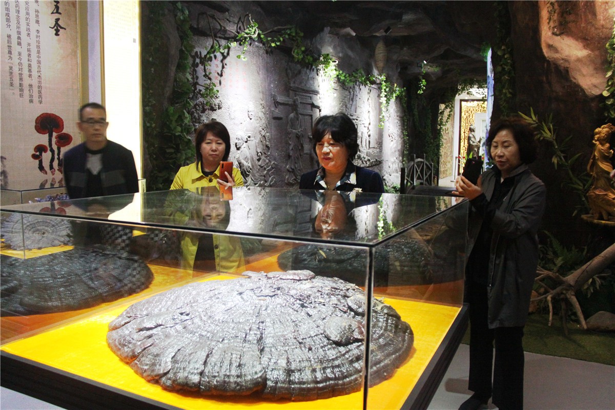 中國(guó)靈芝十大品牌|仙客來(lái)靈芝|仙客來(lái)靈芝破壁孢子粉|仙客來(lái)孢子油|仙客來(lái)靈芝飲片|仙客來(lái)破壁孢子粉|仙客來(lái)靈芝中藥飲片|馳名商標(biāo)|www.card931.cn|