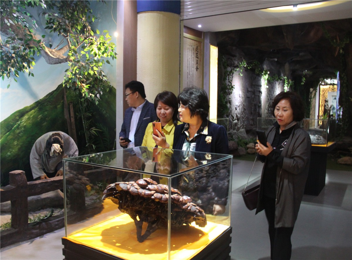 中國(guó)靈芝十大品牌|仙客來(lái)靈芝|仙客來(lái)靈芝破壁孢子粉|仙客來(lái)孢子油|仙客來(lái)靈芝飲片|仙客來(lái)破壁孢子粉|仙客來(lái)靈芝中藥飲片|馳名商標(biāo)|www.card931.cn|